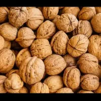 محصولات ارگانیک مسقیم از باغدار|خوردنی و آشامیدنی|شیراز, شهرک والفجر|دیوار