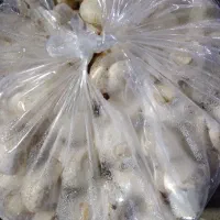 قارچ ۱۵۰|خوردنی و آشامیدنی|بجنورد, |دیوار