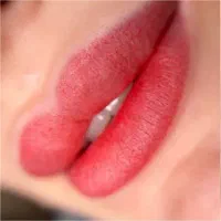 شیدینگ لب،تینت لب دائم|خدمات آرایشگری و زیبایی|تربتحیدریه, مظفریه|دیوار