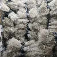 جاروی کوهی تعداد