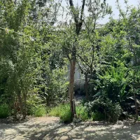 خانه ویلایی قدیمی مرکز شهر|فروش خانه و ویلا|رشت, خواهر امام|دیوار