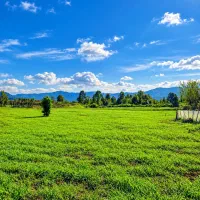 زمین فروشی‌ ( پلاک بندی شده) اطراف رشت