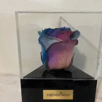 رز جاویدان ولنتاین