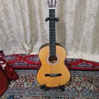 گیتار دیاموندوپایه