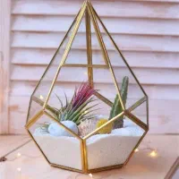 باکس الماس شکل