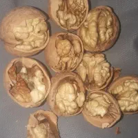 مغز سفید امسال|خوردنی و آشامیدنی|تهران, چیتگر جنوبی|دیوار