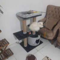 یک عدداسکرچرنویه باکس بایه تشک