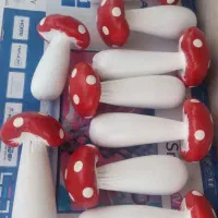 قارچهای تزئینی باغچه ای خاص