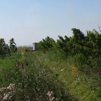 زمین باغ گیلانده|فروش دفتر صنعتی، کشاورزی، تجاری|اردبیل, |دیوار