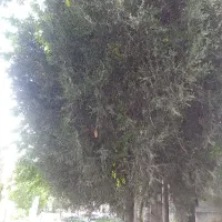 سرمایه گذاری و همکاری و ساخت وساز و معامله