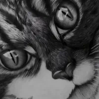 آموزش چهره آنلاین فقط با ۸۵۰ هزارتومان  سفارش چهره