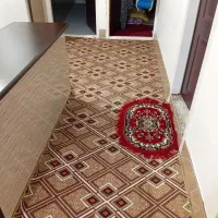 گلیم 2000/0000|گلیم، جاجیم، گبه|سبزوار, طبرسی (جعفرآباد)|دیوار