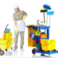 اسکان رایگان