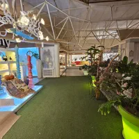 همکار خلاق گرافیست مسلط به ایلوستریتور