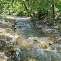 سفری یکروزه به اقیانوس شکوفه های خراسان(خرو)