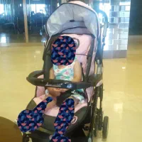 ست کالسکه کریر رورواک برند کانگورو