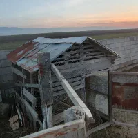 لانه مرغ و خروس و کبوتر|لوازم جانبی حیوانات|گمیشان, |دیوار