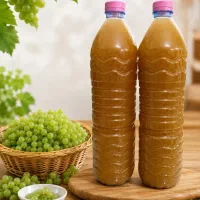 آبغوره تازه تاکستان