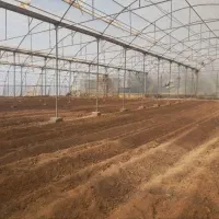 باغ وگلخانه‌