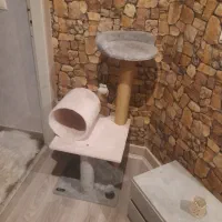 درخت گربه طوسی و صورتی گوگولی و با مزه