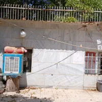 سرایداری و نگهبانی|استخدام سرایداری و نظافت|فردیس, شهرک ناز|دیوار