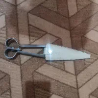 پشم چین چره