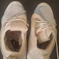 کفش ها نو|کیف، کفش، کمربند|بیرجند, |دیوار