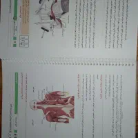 کتاب بدنسازی و پرورش اندام|کتاب و مجله آموزشی|تهران, استاد معین|دیوار