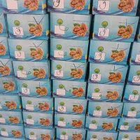 مغز گردو سفید و تازه فروش ویژه با تخفیف محدود|خوردنی و آشامیدنی|اصفهان, باغ فدک|دیوار