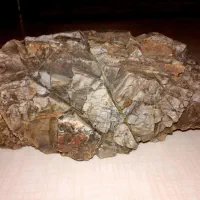 سنگ آکواریوم|ماهی|ماهیدشت, |دیوار