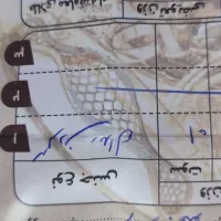 گردنبندطلا