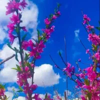 آموزش موبایل گرافی