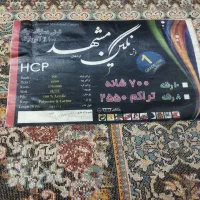 الهی|فرش|گرگان, |دیوار