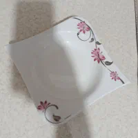 ظرف چینی طوس|ظروف سرو و پذیرایی|ساری, |دیوار