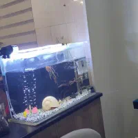 آکواریوم شیشه خم با کلیه لوازم 100لیتری