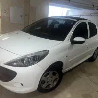 ۲۰۷ پاناروما دنده ای