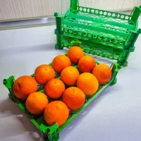 فروش قالب سبد