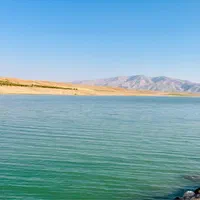 فروش باغ و زمین بادام دژکرد اقلید
