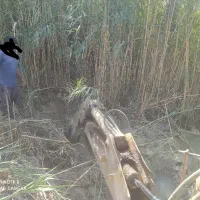 خدمات بیل بکهو