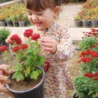 باغبانی حرفه ای گل کاری -از مشاوره تا اجرای کامل