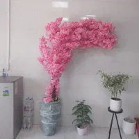 حسابدار خانم