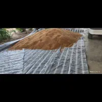 گندم|خدمات باغبانی و درختکاری|شوشتر, |دیوار