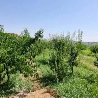 ویلای تکمیل و خاص در صوفیان