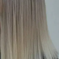 سپیدار