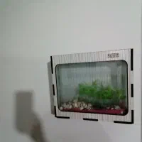 آکواریوم دیواری|ماهیگیری|ارومیه, |دیوار