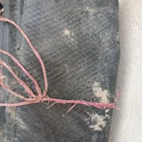 لوله ابیاری