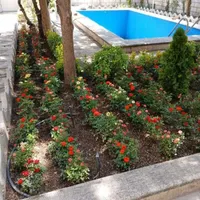 خدمات باغبانی در سراسر تهران گل باغچه و آپارتمانی|خدمات باغبانی و درختکاری|تهران, سیدخندان|دیوار