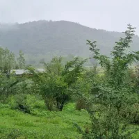 زمین مسکونی ۱۸۱۴متری+خانه کلنگی در آهکلان ماسال|فروش زمین و ملک کلنگی|ماسال, |دیوار