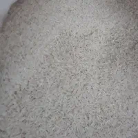 برنج طارم هاشمی کاشت مزرعه خودم