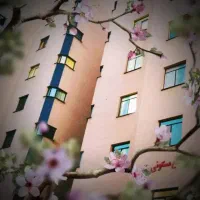 خدمتکار / نظافتچی / سرایدار